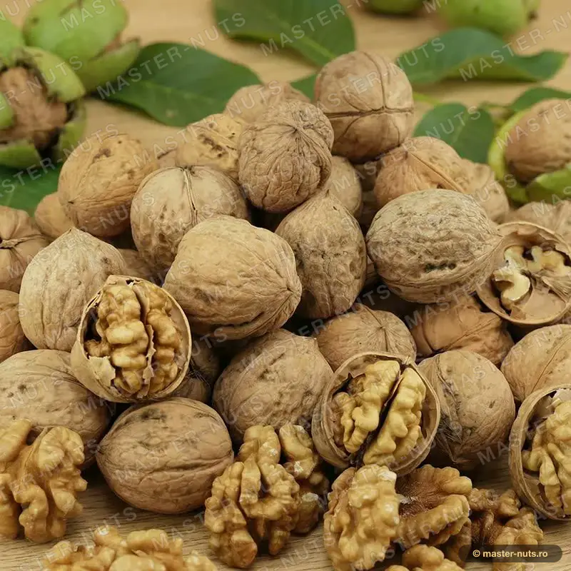 185 – Paper-Shell Walnut