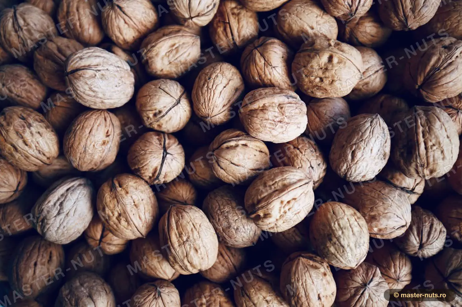 Yunnan – Yunnan Walnut / Sigillata